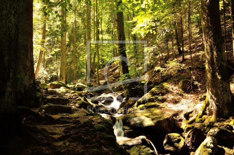 frei wählbarer Bildausschnitt für Ihr Bild auf Leinwand