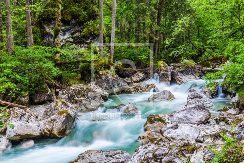 frei wählbarer Bildausschnitt für Ihr Bild auf Leinwand