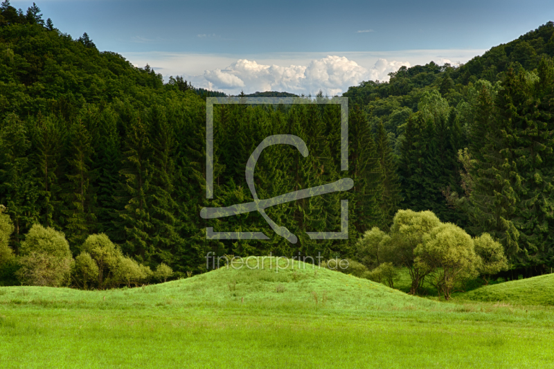 frei wählbarer Bildausschnitt für Ihr Bild auf Leinwand