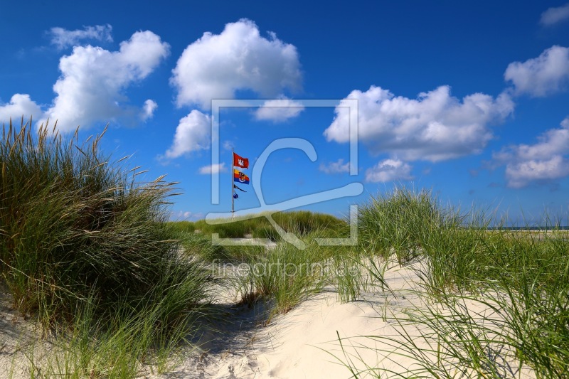 frei wählbarer Bildausschnitt für Ihr Bild auf Leinwand