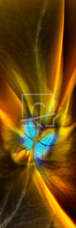 frei wählbarer Bildausschnitt für Ihr Bild auf Leinwand