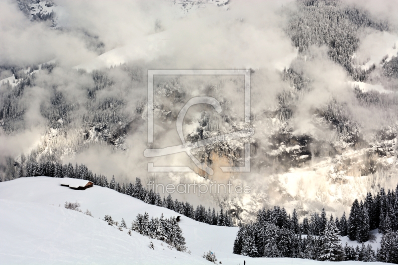 frei wählbarer Bildausschnitt für Ihr Bild auf Leinwand