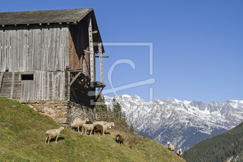 frei wählbarer Bildausschnitt für Ihr Bild auf Leinwand