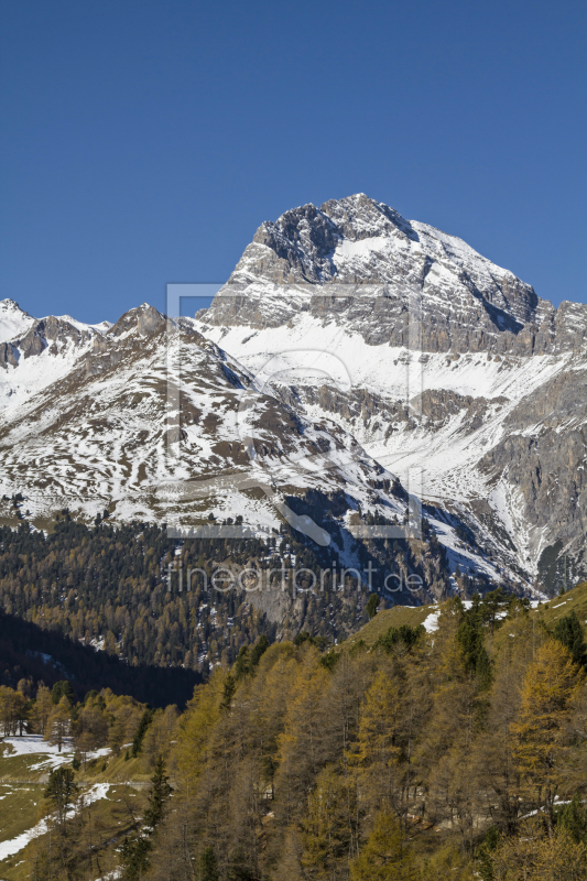 frei wählbarer Bildausschnitt für Ihr Bild auf Leinwand