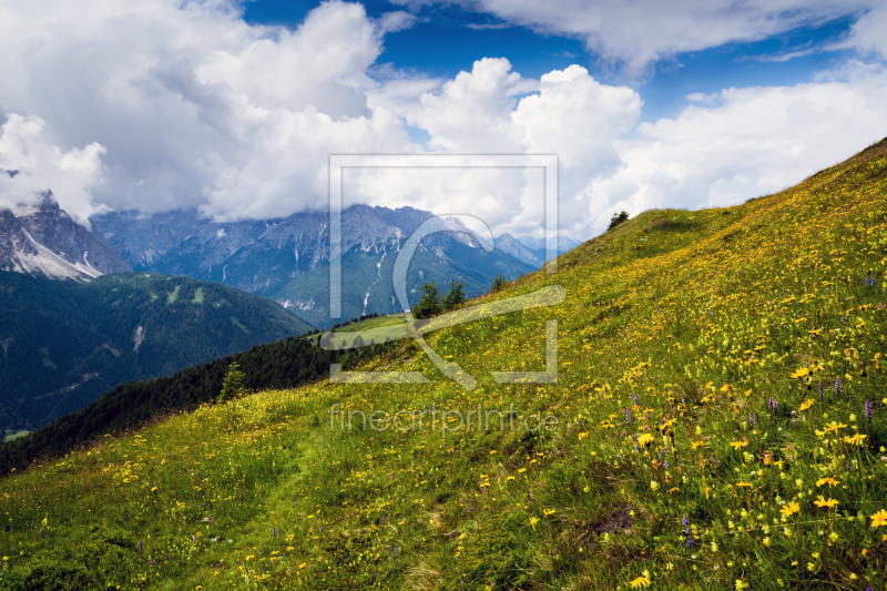 frei wählbarer Bildausschnitt für Ihr Bild auf Leinwand