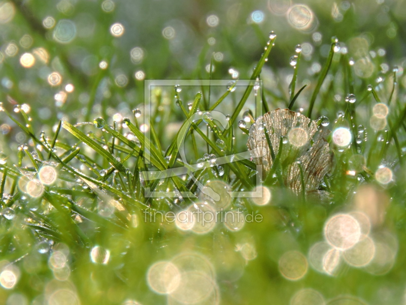 frei wählbarer Bildausschnitt für Ihr Bild auf Leinwand