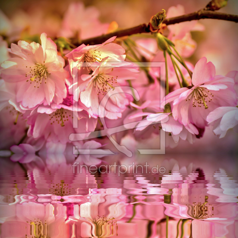 frei wählbarer Bildausschnitt für Ihr Bild auf Leinwand