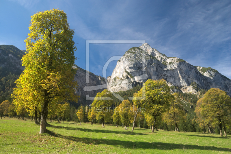 frei wählbarer Bildausschnitt für Ihr Bild auf Leinwand