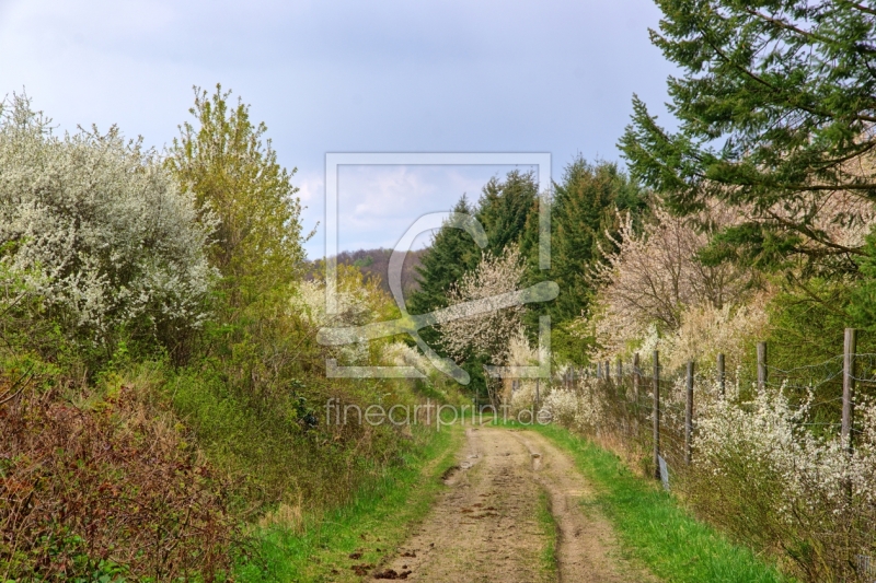 frei wählbarer Bildausschnitt für Ihr Bild auf Leinwand