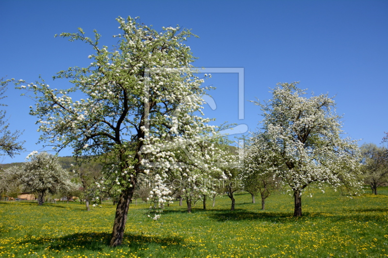 frei wählbarer Bildausschnitt für Ihr Bild auf Leinwand