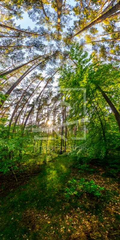 frei wählbarer Bildausschnitt für Ihr Bild auf Leinwand