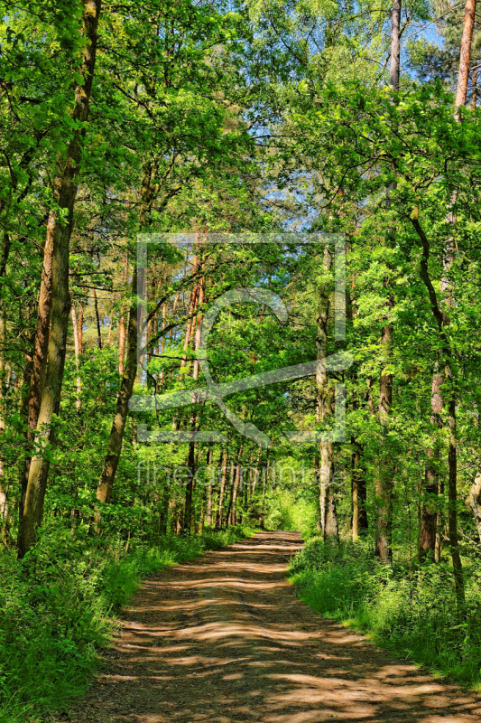 frei wählbarer Bildausschnitt für Ihr Bild auf Leinwand