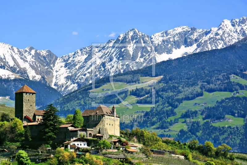frei wählbarer Bildausschnitt für Ihr Bild auf Leinwand