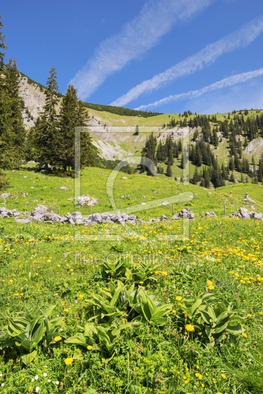 frei wählbarer Bildausschnitt für Ihr Bild auf Leinwand