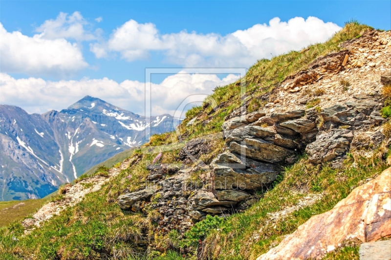 frei wählbarer Bildausschnitt für Ihr Bild auf Leinwand