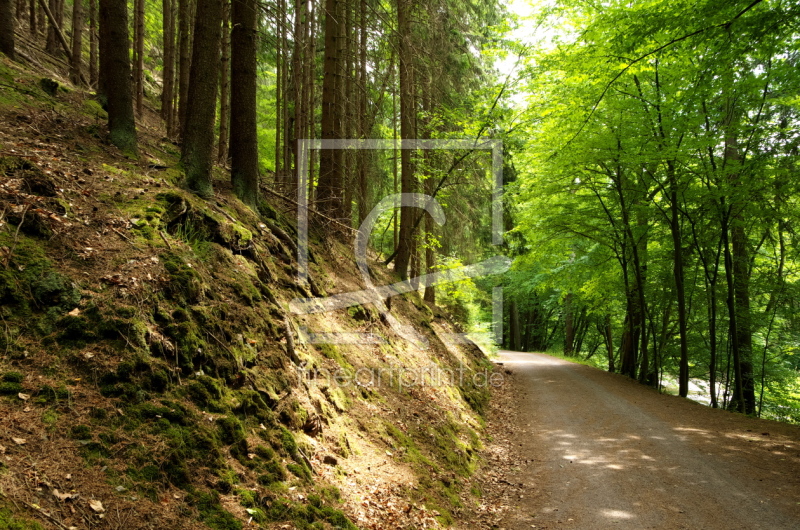 frei wählbarer Bildausschnitt für Ihr Bild auf Leinwand