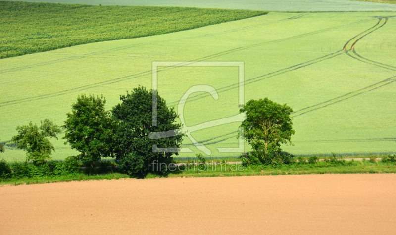 frei wählbarer Bildausschnitt für Ihr Bild auf Leinwand