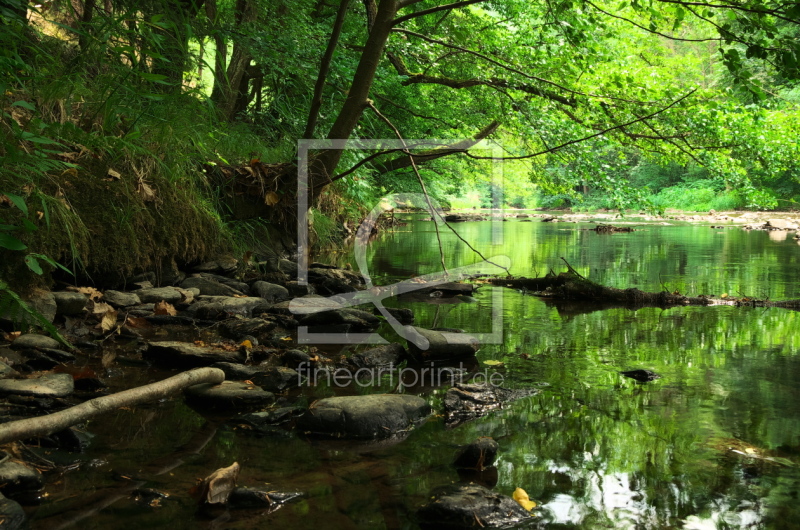 frei wählbarer Bildausschnitt für Ihr Bild auf Leinwand