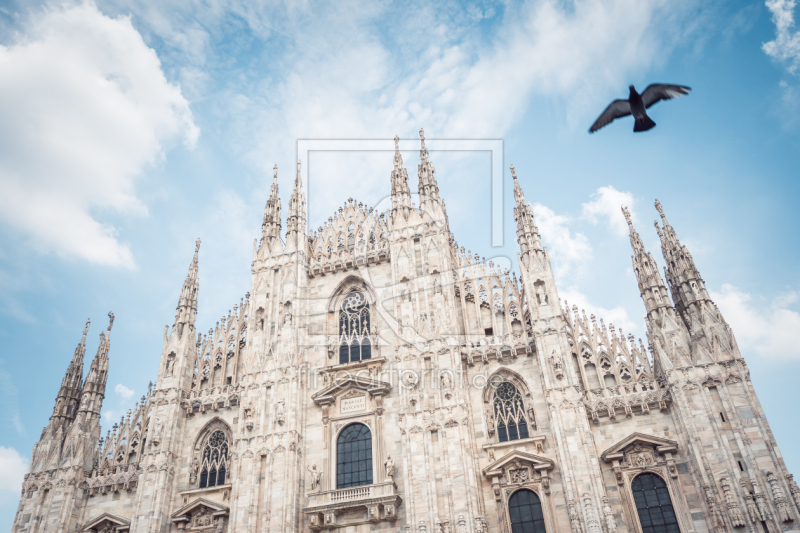 frei wählbarer Bildausschnitt für Ihr Bild auf Leinwand