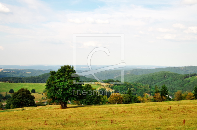 frei wählbarer Bildausschnitt für Ihr Bild auf Leinwand