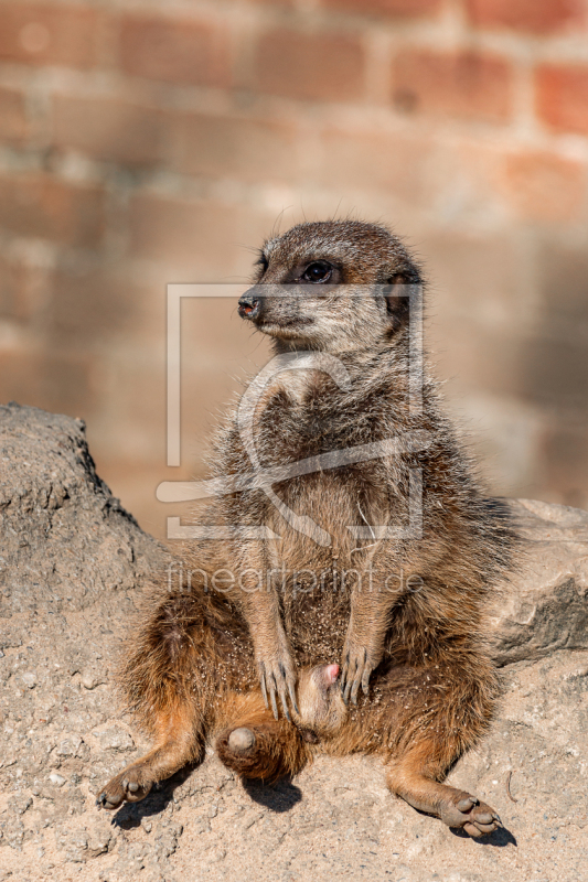 frei wählbarer Bildausschnitt für Ihr Bild auf Leinwand