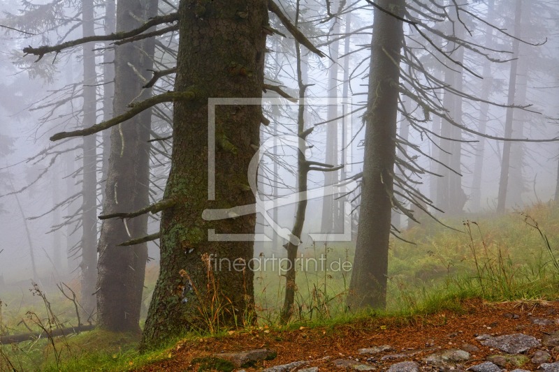 frei wählbarer Bildausschnitt für Ihr Bild auf Leinwand