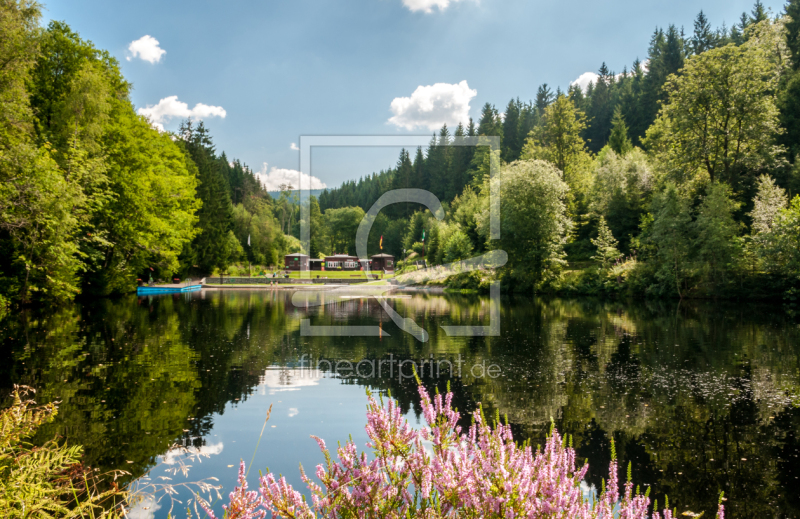 frei wählbarer Bildausschnitt für Ihr Bild auf Leinwand