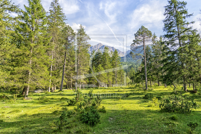 frei wählbarer Bildausschnitt für Ihr Bild auf Leinwand