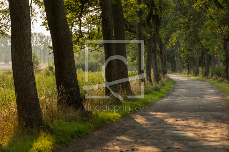 frei wählbarer Bildausschnitt für Ihr Bild auf Leinwand