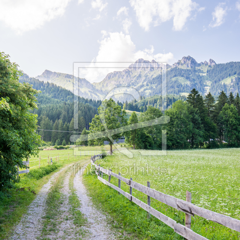 frei wählbarer Bildausschnitt für Ihr Bild auf Leinwand