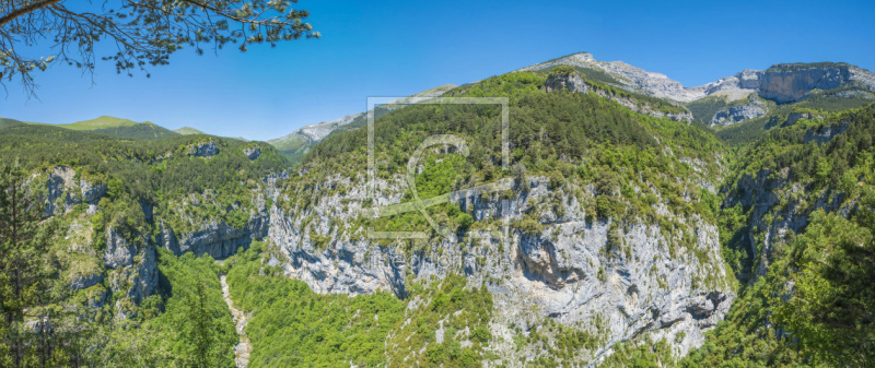 frei wählbarer Bildausschnitt für Ihr Bild auf Leinwand