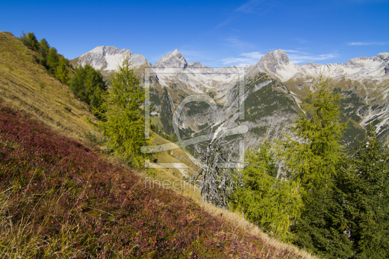 frei wählbarer Bildausschnitt für Ihr Bild auf Leinwand