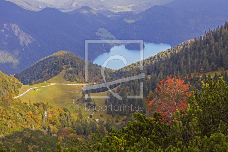 frei wählbarer Bildausschnitt für Ihr Bild auf Leinwand