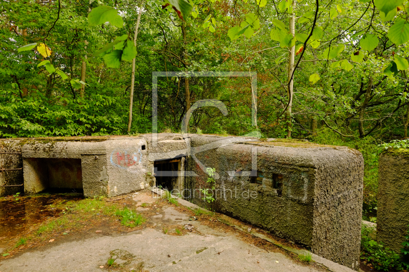 frei wählbarer Bildausschnitt für Ihr Bild auf Leinwand