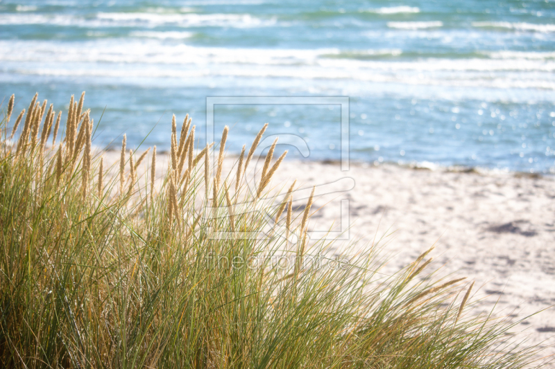 frei wählbarer Bildausschnitt für Ihr Bild auf Leinwand