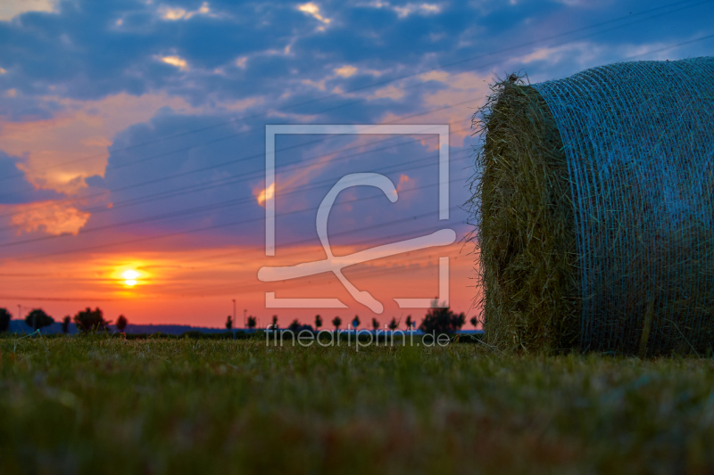 frei wählbarer Bildausschnitt für Ihr Bild auf Leinwand