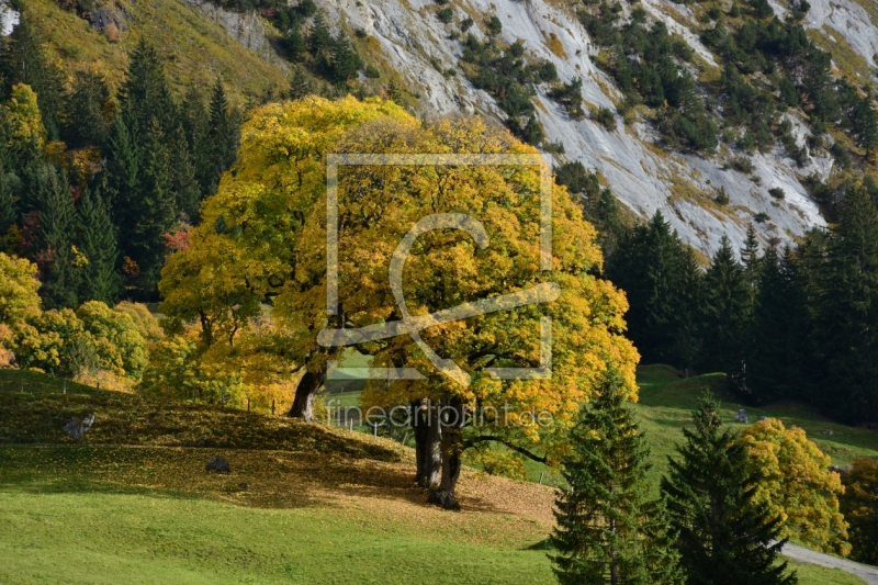 frei wählbarer Bildausschnitt für Ihr Bild auf Leinwand