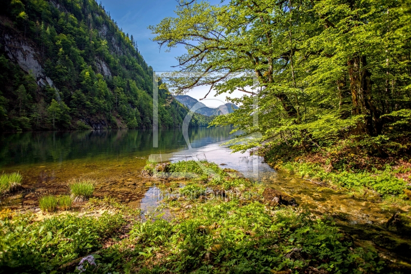 frei wählbarer Bildausschnitt für Ihr Bild auf Leinwand