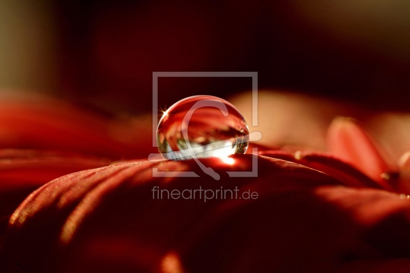 frei wählbarer Bildausschnitt für Ihr Bild auf Leinwand