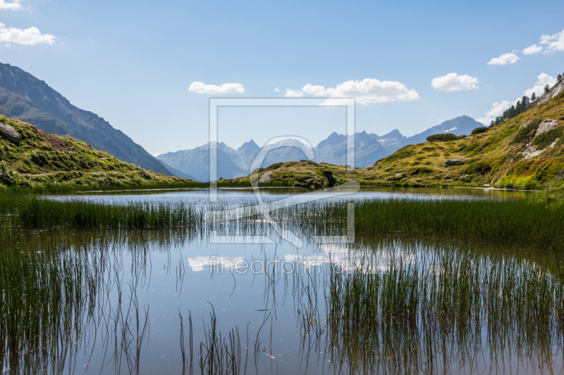 frei wählbarer Bildausschnitt für Ihr Bild auf Leinwand