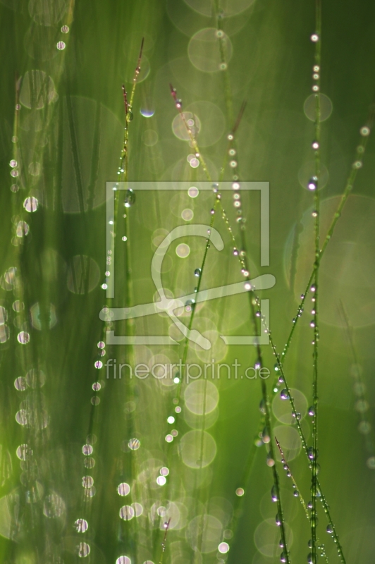 frei wählbarer Bildausschnitt für Ihr Bild auf Leinwand