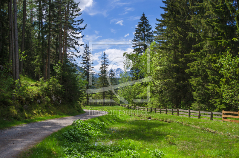 frei wählbarer Bildausschnitt für Ihr Bild auf Leinwand