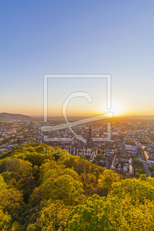 frei wählbarer Bildausschnitt für Ihr Bild auf Leinwand