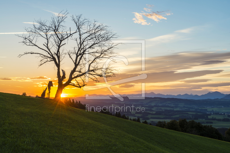 frei wählbarer Bildausschnitt für Ihr Bild auf Leinwand