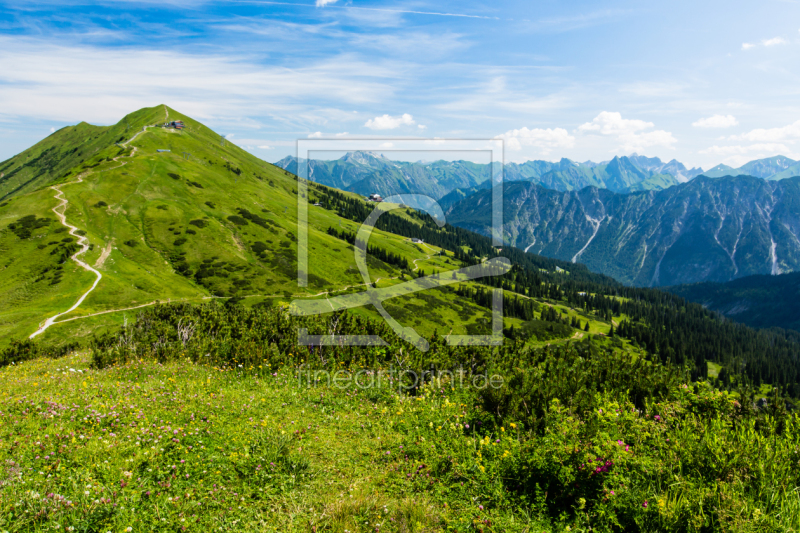 frei wählbarer Bildausschnitt für Ihr Bild auf Leinwand