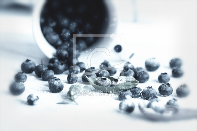 frei wählbarer Bildausschnitt für Ihr Bild auf Leinwand