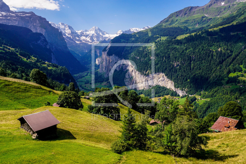 frei wählbarer Bildausschnitt für Ihr Bild auf Leinwand