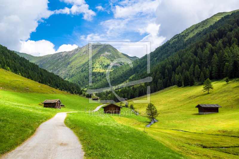 frei wählbarer Bildausschnitt für Ihr Bild auf Leinwand