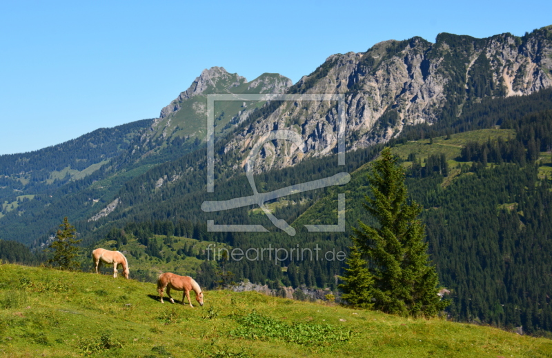 frei wählbarer Bildausschnitt für Ihr Bild auf Leinwand