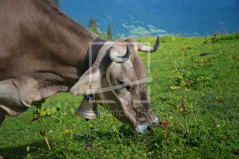 frei wählbarer Bildausschnitt für Ihr Bild auf Leinwand